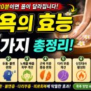 🔥 족욕 효과 7가지 총정리 혈액순환부터 불면증까지, 집에서 하는 최고의 회복 루틴 이미지