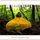 망태수퍼 이미지