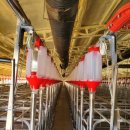 대식농장 이미지