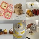구월로 336번길 | 인천 강아지 고양이 케이크 생일파티 간식 왈테이블