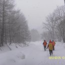 진고개목장 이미지