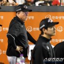 이글스 이미지