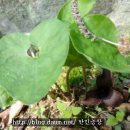 한민농장 이미지