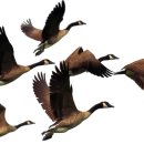 멀티 스크린 이미지