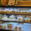 또오랑 | 애견동반카페 또오랑개 |무주카페추천, 강아지 없이도 갈 수 있는 카페❤️