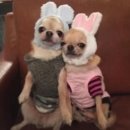 휘트니스센타PG 이미지