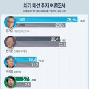차기 대선주자 여론조사 (리얼미터 1월 5일자) 이미지