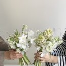 시트러스플라워