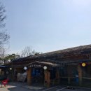 안양 비산동맛집 운곡회관 구루물횟집 방문후기_운곡회관 스페셜, 메뉴판, 랍스터회, 모듬회