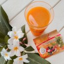 독일피엠 이미지