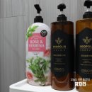 샤인무인텔 이미지