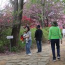 완산-19 이미지
