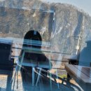 단델리온풀빌라 이미지