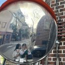 입 닫고 빵이나 먹어 🍞 그리고 나의 일상은 똑같긴 해