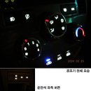 금성백조100동