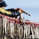 영농조합법인 대관령눈마을황태 이미지