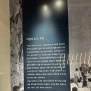[부산] 여자 혼자 부산여행 | 세븐브릿지 | 시티투어버스 레드라인 탑승후기