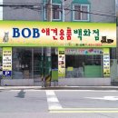 BOB애견용품