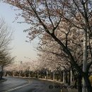 여의도봄약국 이미지