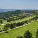 주니어골프 이미지