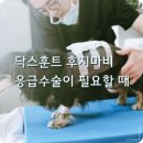 오아시스 정형외과 신경외과 동물병원 이미지