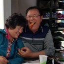 금포초등 이미지