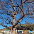 박곡보건진료소 이미지