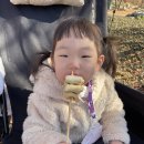 장터추어탕 캠핑장 이미지