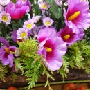 김동환농장 이미지