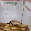 전남동물의료센터 | 전남동물의료센터를 다녀오다