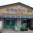 선제농약사 이미지