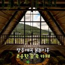 장흥군장애인단체사무실 | 장흥 계곡 닭백숙 먹고 5분, 늦여름 빙수 먹으러 간 양주 대형카페