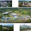 홈인제주 | [야크마을] 두도 레스토랑 조식 후기(제주 고사리 해장국, 미국식 조찬)+테라로사 서귀포점, 쇠소깍