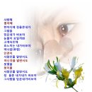 믿은내가 바보야 / 유준 이미지