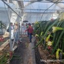 여의주농장 이미지