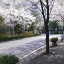 안구경로당 이미지