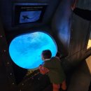 가람어린이집 이미지