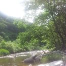 해미레2 이미지