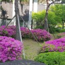 대치2-111 이미지