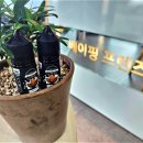 베이핑프렌즈 이미지