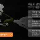 완도대성병원 네이버블로그