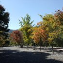 뉴힐링캠프 | 아이와 함께하는 힐링의 시간, 포천 뉴힐링캠프 캠핑장