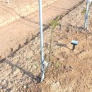 부동농장 이미지