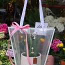 용봉약국 이미지