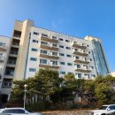 포레스트오션 | 가족여행 속초고성숙소 추천 | 오션투유리조트 포레스트뷰 스위트 콘도 후기