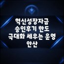 혁신세탁소 | 혁신성장자금 승인후기 한도 극대화 세우는 운영 안산