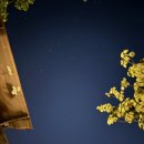 노을1(숙소옆) 이미지