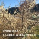 🤠23/03/03일(금) 남파랑길 제19회 둘째 날 "돌산섬과 향일함" 이미지