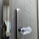 보람동_호려울8단지 정문 | 세종도어락 호려울 8단지 아파트 유니코 7100S 도어락 교체 설치 문 열림 연동까지 비용