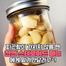 하루 3알씩 3번이면 올겨울 면역력 걱정없다는 ‘이것’ 레시피 이미지